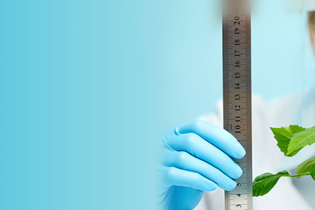 Λιπάσματα και ο κύκλος του Αζώτου